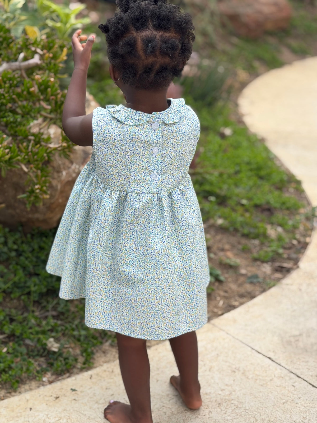 Ivy Dress