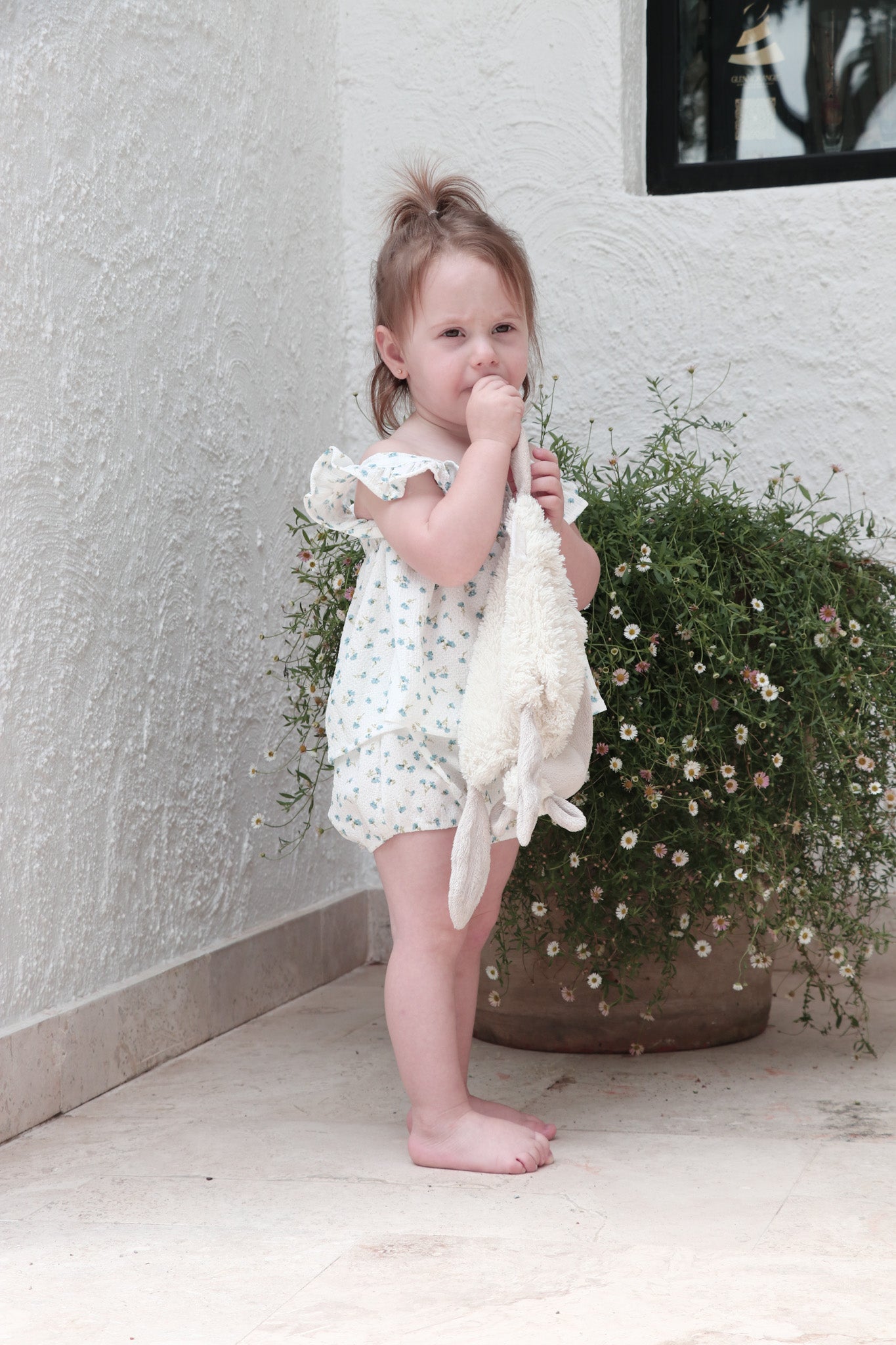 Willow Set
