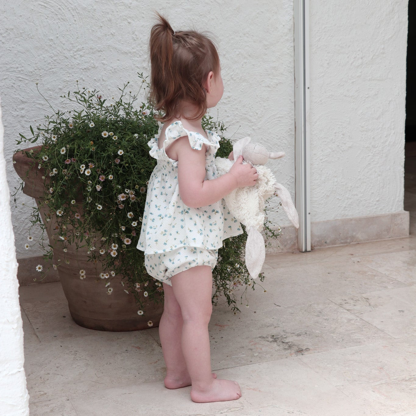 Willow Set